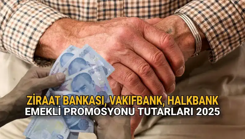 2025'te Emeklilere Müjde: Kamu Bankalarının Promosyon Miktarları Ne Olacak?