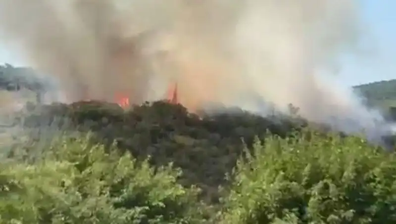 İstanbul’da Sıcak Yaz Günü Orman Yangınıyla Karardı