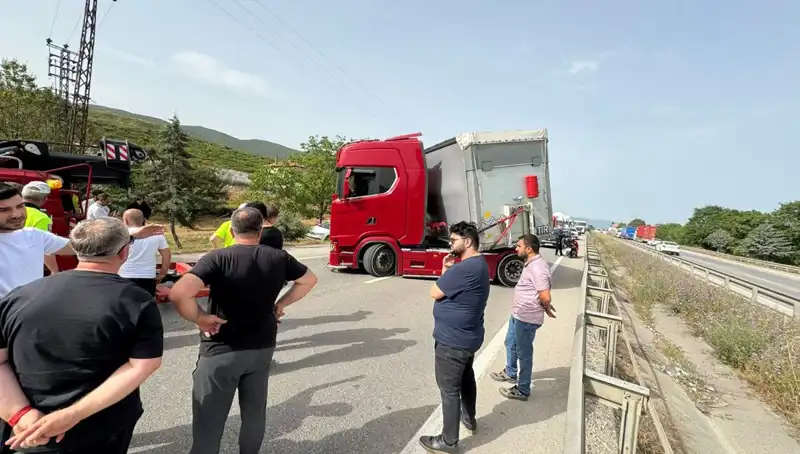 Seyir Halinde Arı Soktu: Şaşkın Sürücü Trafiği Kilitledi!