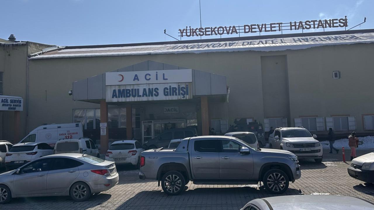 Müfettiş, başıboş köpeklerin saldırısı sonucu ölen çocuğun ölümüyle ilgili soruşturma başlattı.