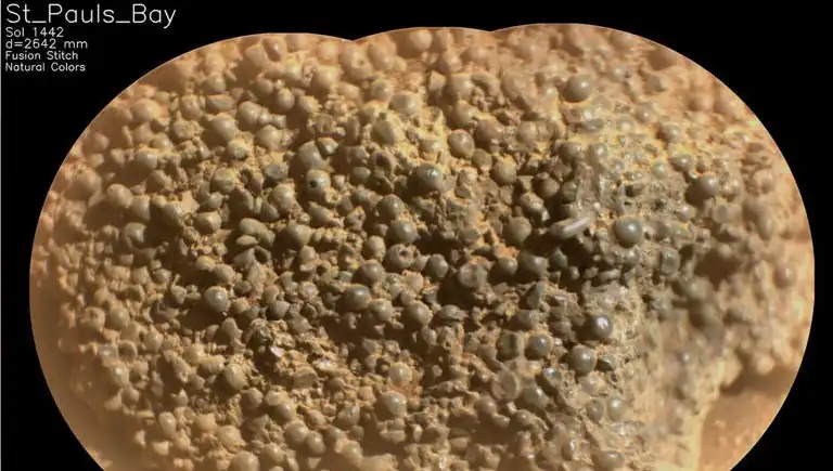 Mars'ta İlginç Bir Keşif: "Örümcek Yumurtaları" Nedir?