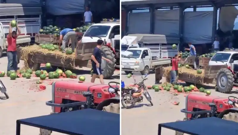 Karpuzları Yere Atıp Parçalayan Çiftçilere Şok Ceza Geldi!