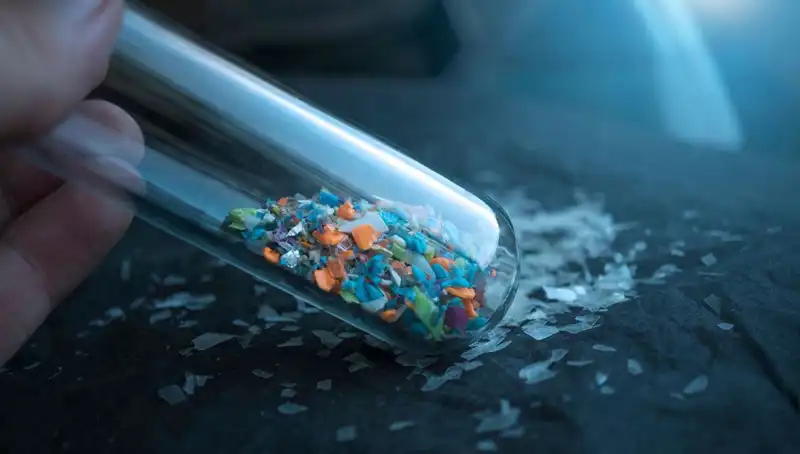 Mikroplastikler İnsan Beyninde Ne Kadar Zarar Veriyor?