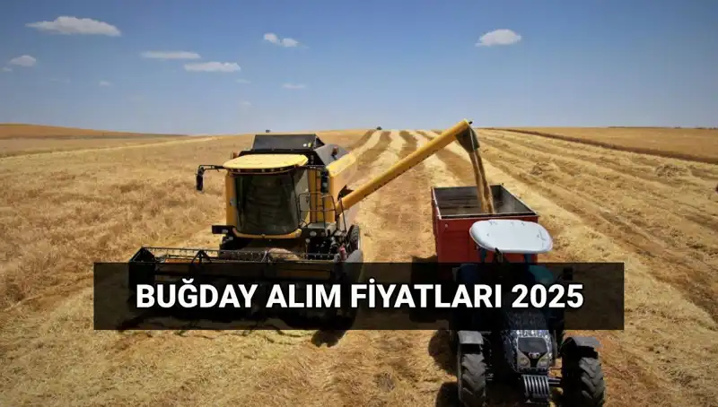Hububat Alım Ücretleri Ne Zaman Yatacak? 2025 Fiyatları Belli Oldu!