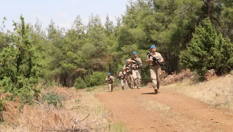Kilis'te Orman Yangını Denetimleri Sıkılaştırıldı, Önlemler Artırıldı