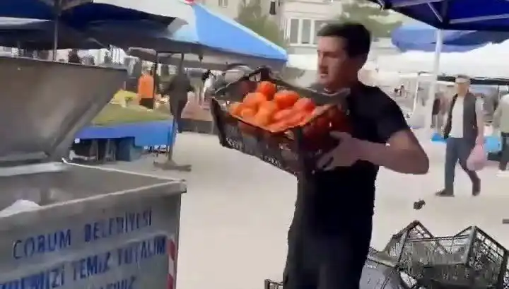 Domatesleri Çöpe Döken Pazarcıya Şok Edici Tutarla Para Cezası Verildi