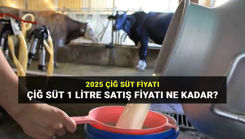 2025 Çiğ Süt Fiyatlarında Şok Gelişme: Ulusal Süt Konseyi Açıkladı!