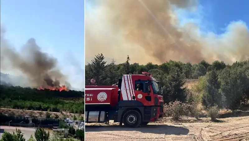 Gebze’deki Orman Yangını: Doğa ve Yaşam Tehlikede!
