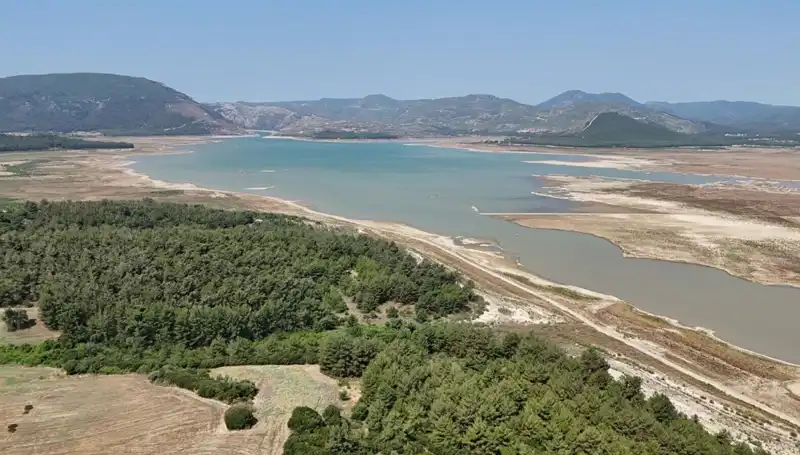 İzmir'de Tehlike Çanları: Geçen Yıla Göre Yüzde 50 Düşüş Var!