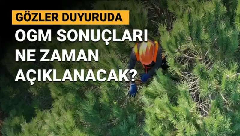 OGM Personel Alımı Duyurusu: 3 Bin 477 Sözleşmeli Pozisyon için Başvuru Sonuçları Bekleniyor!