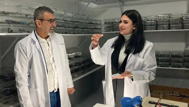 Akrep Zehri ile Şekerin İnanılmaz Buluşması: Sağlığa Faydaları Neler?