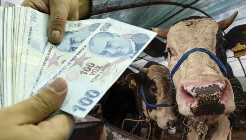 Emekli ve Memur Maaşları Kurban Bayramı'na Yetişecek mi?