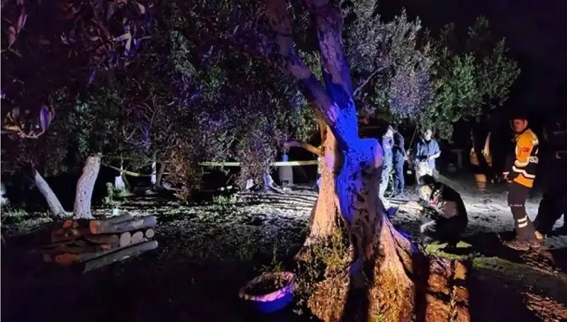 Çiftlikteki Baltalı Vahşet Olayında İki Kişi Tutuklandı!