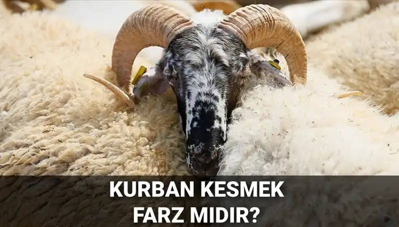 Kurban Kesmenin Şartları ve Diyanet’in Görüşü: Farz Mıdır?