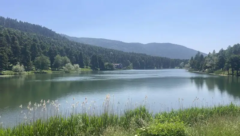 Bolu'nun Milli Parklarında Ziyaretçi Akını: Doğanın Tadını Çıkarın!