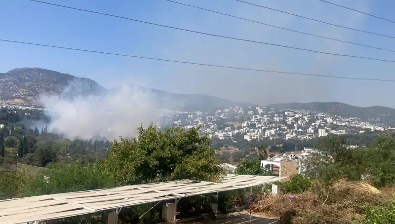 Muğla Orman Yangınlarında Yeni Gelişmeler: Kontrol Altına Alındı!