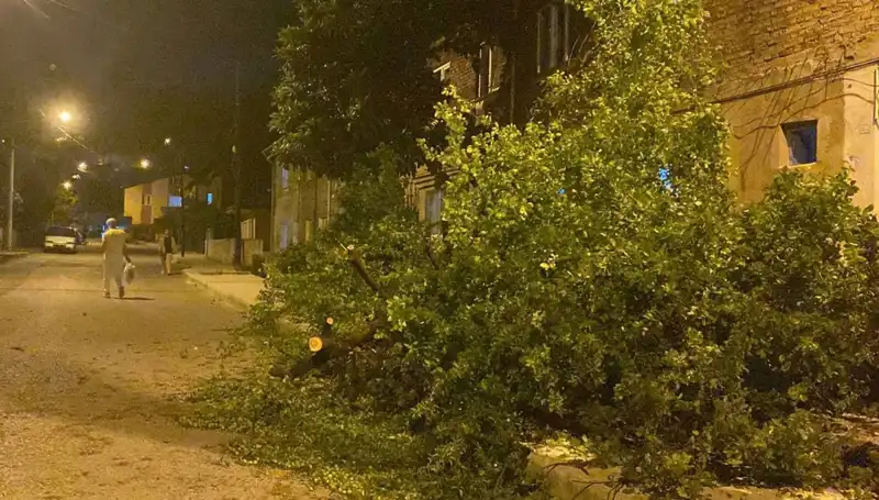 Karabük’te Fırtına, Hayatı Olumsuz Etkiledi: Hasarlar ve Önlemler