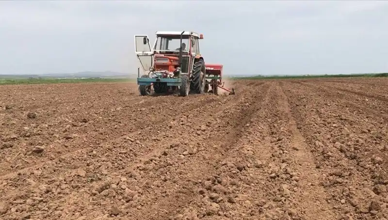 Son 35 Yılda Yaşanan En Kurak Mart: Yağışlar Yüzde 59 Düştü