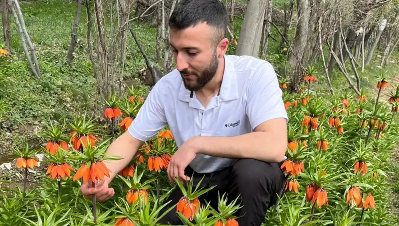 Ağlayan Gelin: 244 Bin Lira Cezalı Ender Bir Çiçeğin Hikayesi