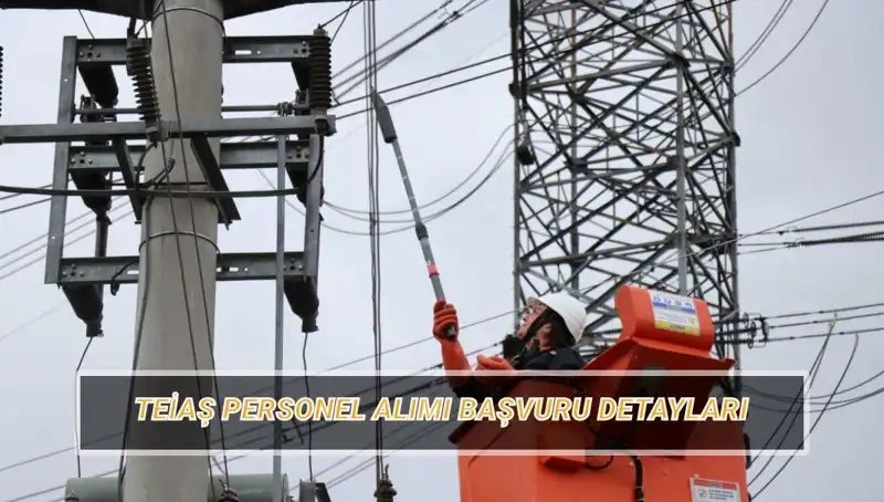 TEİAŞ Personel Alımı: Başvuru Tarihleri ve Şartları Hakkında Bilgiler