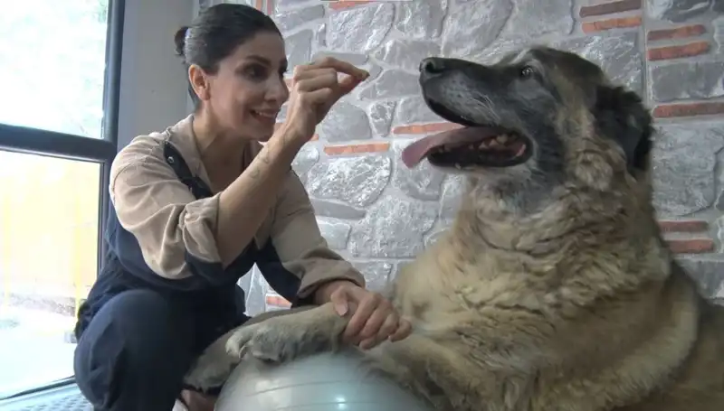 Obeziteyle Mücadele: 55 Kilo Fazla Kilo Taşıyan Duman’ın Dönüşümü