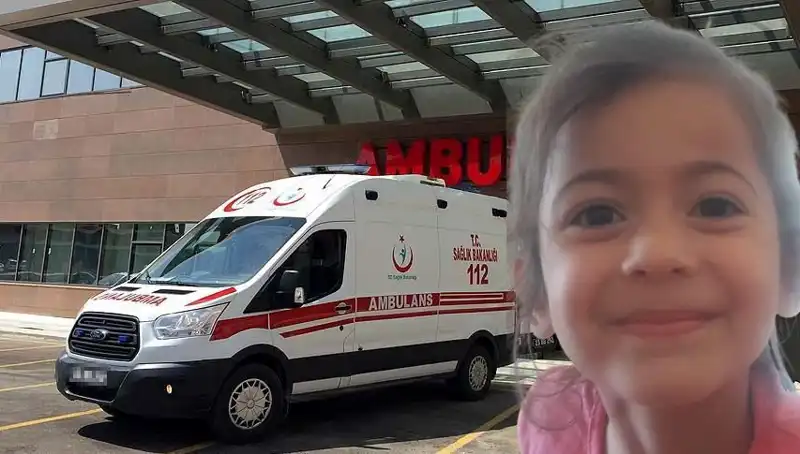 8 Yaşındaki Roza'nın Kayboluşu: On Ay Sonra Geldi Acı Haber