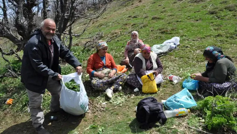 Doğa Aşıkları Yürüyerek Topladıkları Mantarlarla Ailelerini Geçindiriyorlar!