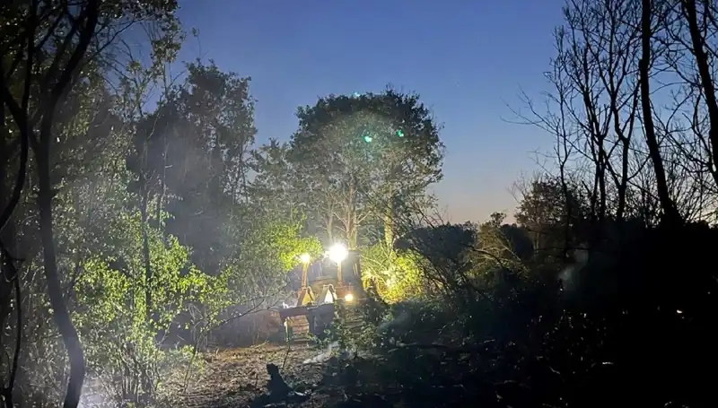 Edirne'deki Orman Yangını Kontrol Altına Alındı: Tehlikeli Anlar Yaşandı
