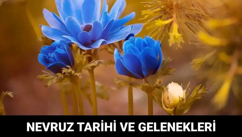 Nevruz Bayramı’nın Anlamı ve Gelenekleri: Kimler Kutlar?