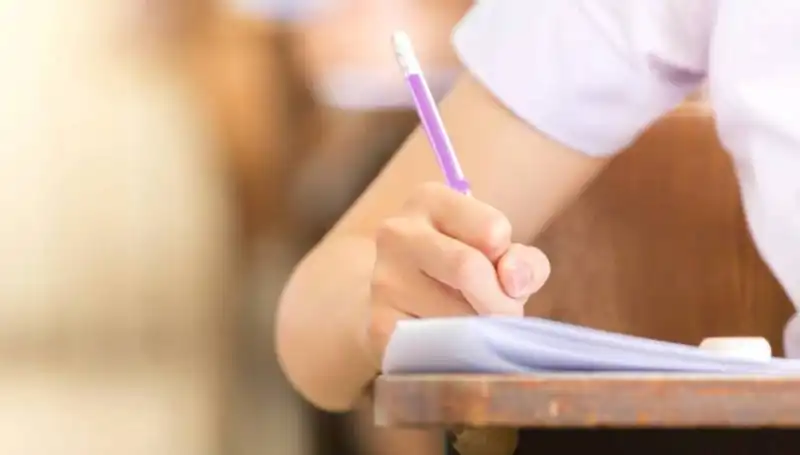 LGS Raporu: MEB'den Gelen Yüksek Düzey Değerlendirmesi
