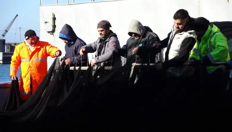 Denizlerde Hamsi Avında Şok: Tekneler Erken Paydos Etti!