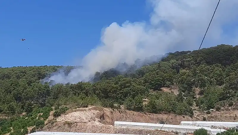 Kumluca'da Feci Orman Yangını: Doğa Kötü Durumda!