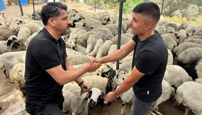 Kurbanlık Koyun Alırken Tuz ve Sumak Kullanımına Dikkat!