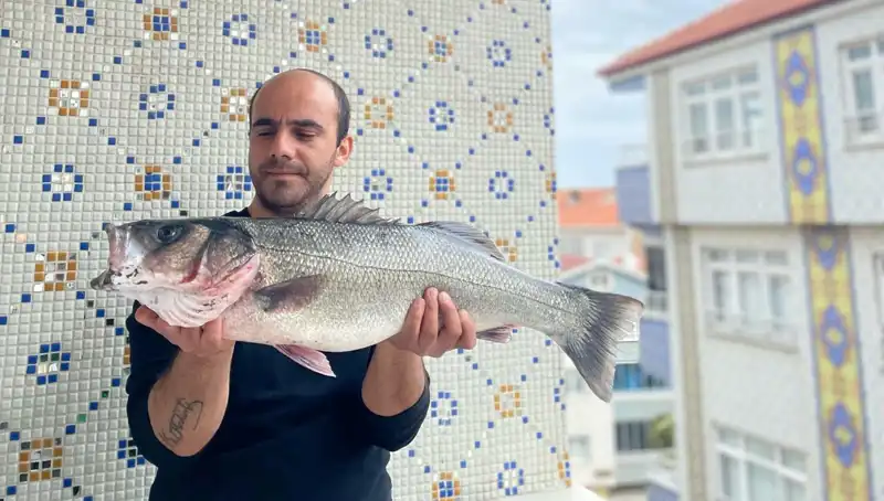 7,5 Kiloluk Dev Levrekle Balıkçıların Yüzleri Güldü