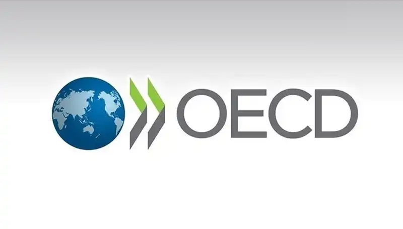 Türkiye Ekonomisi İçin OECD'den Büyüme Tahminleri: Beklentiler ve Gelişmeler