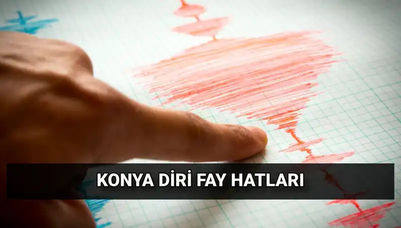 Konya'da Deprem Riski: Fay Hatları ve Güvenlik Önlemleri