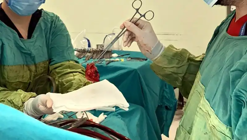 Kalp Kapağı Çürüyen Hastaya Uygulanan 7 Saatlik Ameliyat Sonrası Mucizevi İyileşme