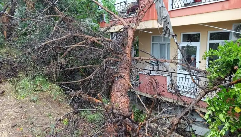 Yağmurun Kurbanı: Yıkılan Bina Şehrin Merkezindeki Dramı Gözler Önüne Serdi