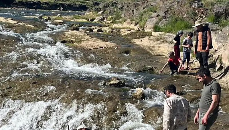 İnci Kefalinin Büyüleyici Göçü: Doğanın Mucizesi Yerli ve Yabancı Turistleri Büyülüyor
