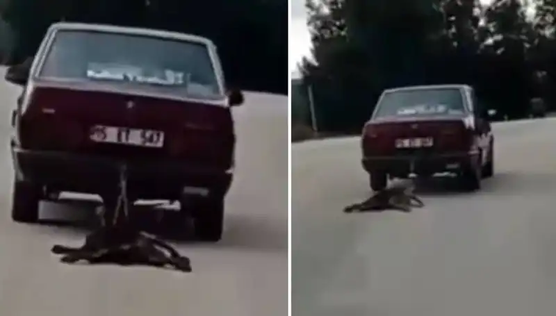Dikkat Çeken Olay: Otomobilin Arka Tarafında Köpek Sürüklenirken Görüntülendi