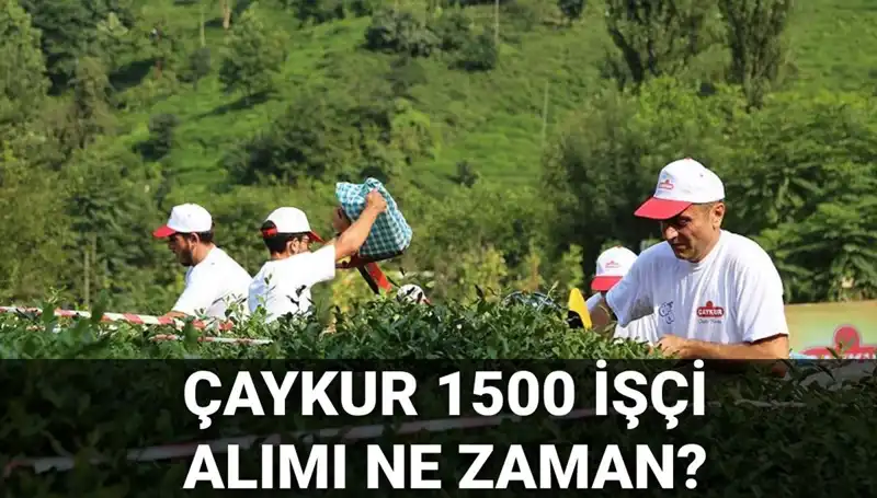 Çaykur İşçi Alımı Başvuru Tarihleri Açıklandı! Kaçırmayın!