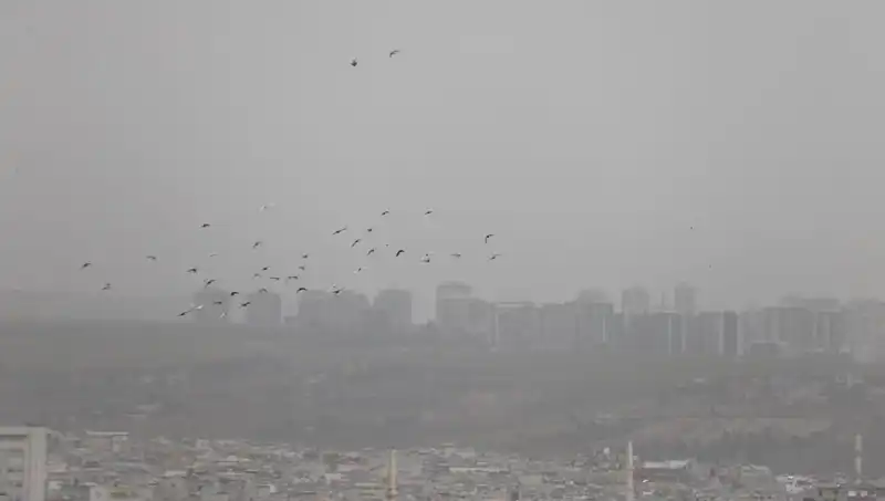 Şanlıurfa’nın Gökyüzü Toz Bulutuyla Kaplandı: Son Durum Ne?