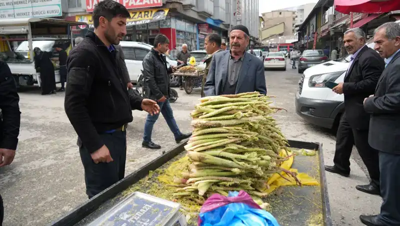 Dağlık Alanlardan Toplanan Şeker: Kanser ve Mide Hastalıklarına Şifa Mı?