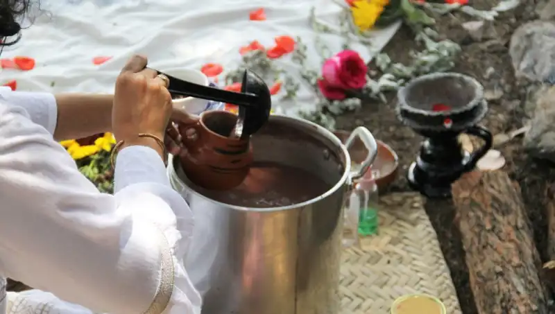 Ayahuasca Nedir? Türkiye'de Yasal Durumu Ne?