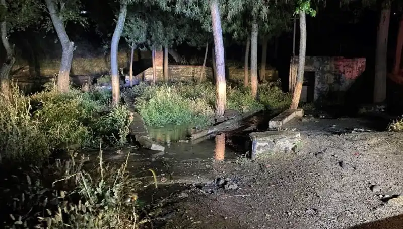 Manisa'da Parkta Gizemli Şüpheli Ölüm: Olay Şok Edici Detaylarla Devam Ediyor