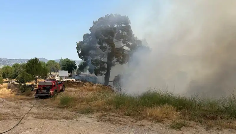Muğla'da Çıkan Orman Yangını, Doğayı Tehdit Altında Bıraktı