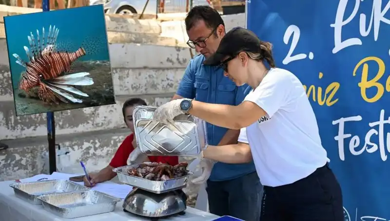 Antalya'da İstilacı Aslan Balığı Avlama Yarışması Yenilikçi Yaklaşımlarla Düzenleniyor
