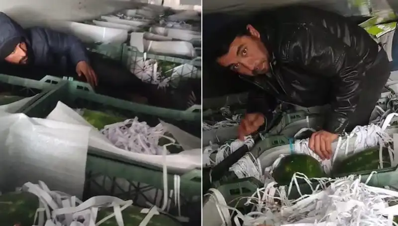 Karpuzların Arasından Göçmenler Çıktı: Sürükleyici Bir Hikaye