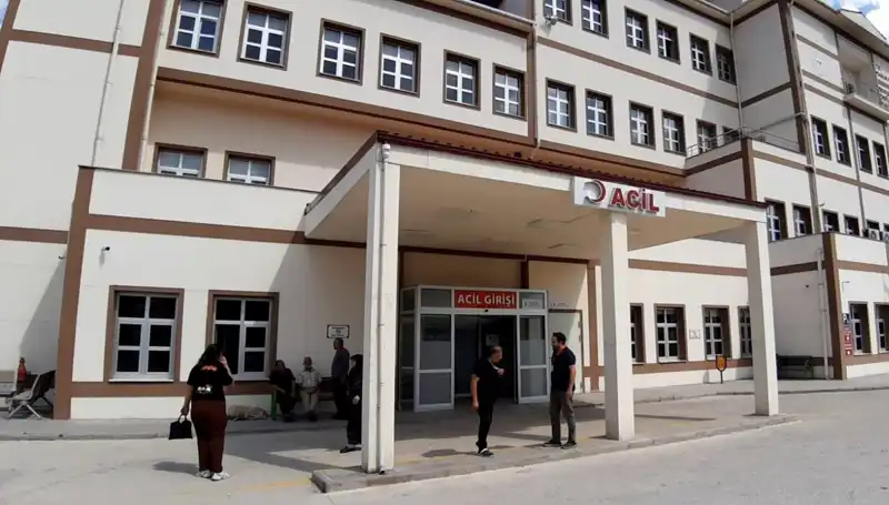 Bolu'da Ayı Avı Kararı, Doğa Severlerin Tepkisini Çekti!