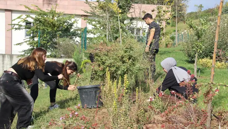 Düzce'nin Yıldızı Olacak Proje: Hayaldi, Gerçek Oldu!